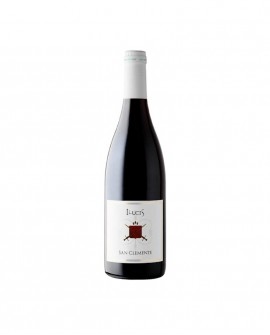 Ilucis - Umbria Rosso IGP – Bottiglia da 0,75 l - Cantina San Clemente